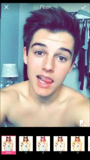 猫脸图片过滤器app