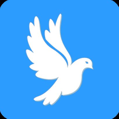 飞鸽快传文件传输软件