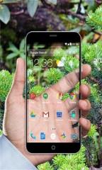 透明桌面主题app