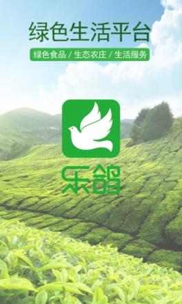 乐鸽
