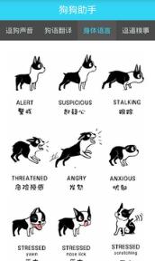 狗狗助手斗狗神器