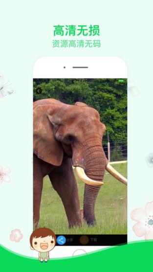 Live Photo情侣锁屏壁纸下载