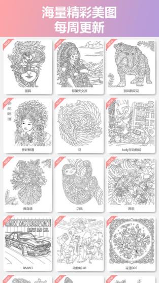 全民涂色破解版