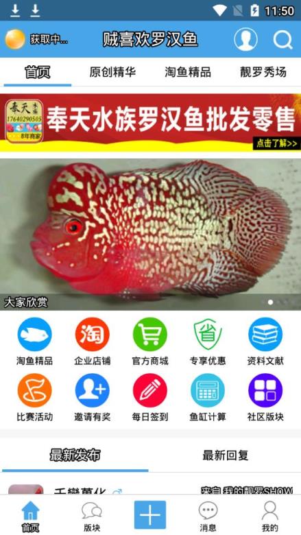 贼喜欢罗汉鱼app