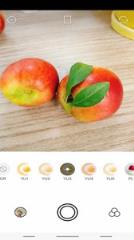 滤镜贴纸网红相机