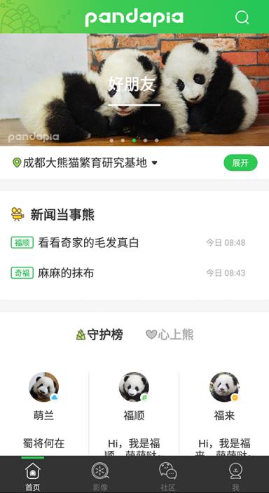 pandapia app
