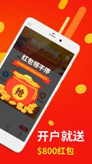 海豚外汇