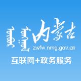 内蒙古互联网+政务服务