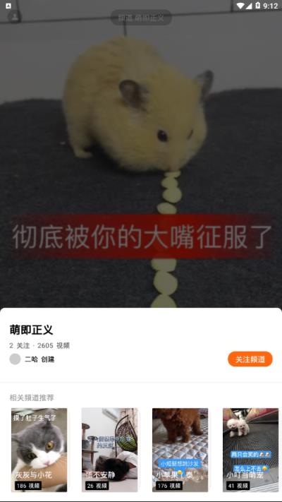 哈萌视频