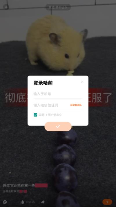 哈萌视频

