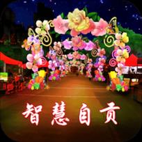 智慧自贡