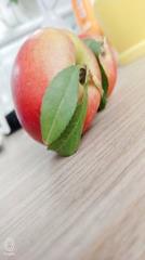 滤镜贴纸网红相机