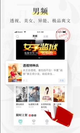 风筝阅读