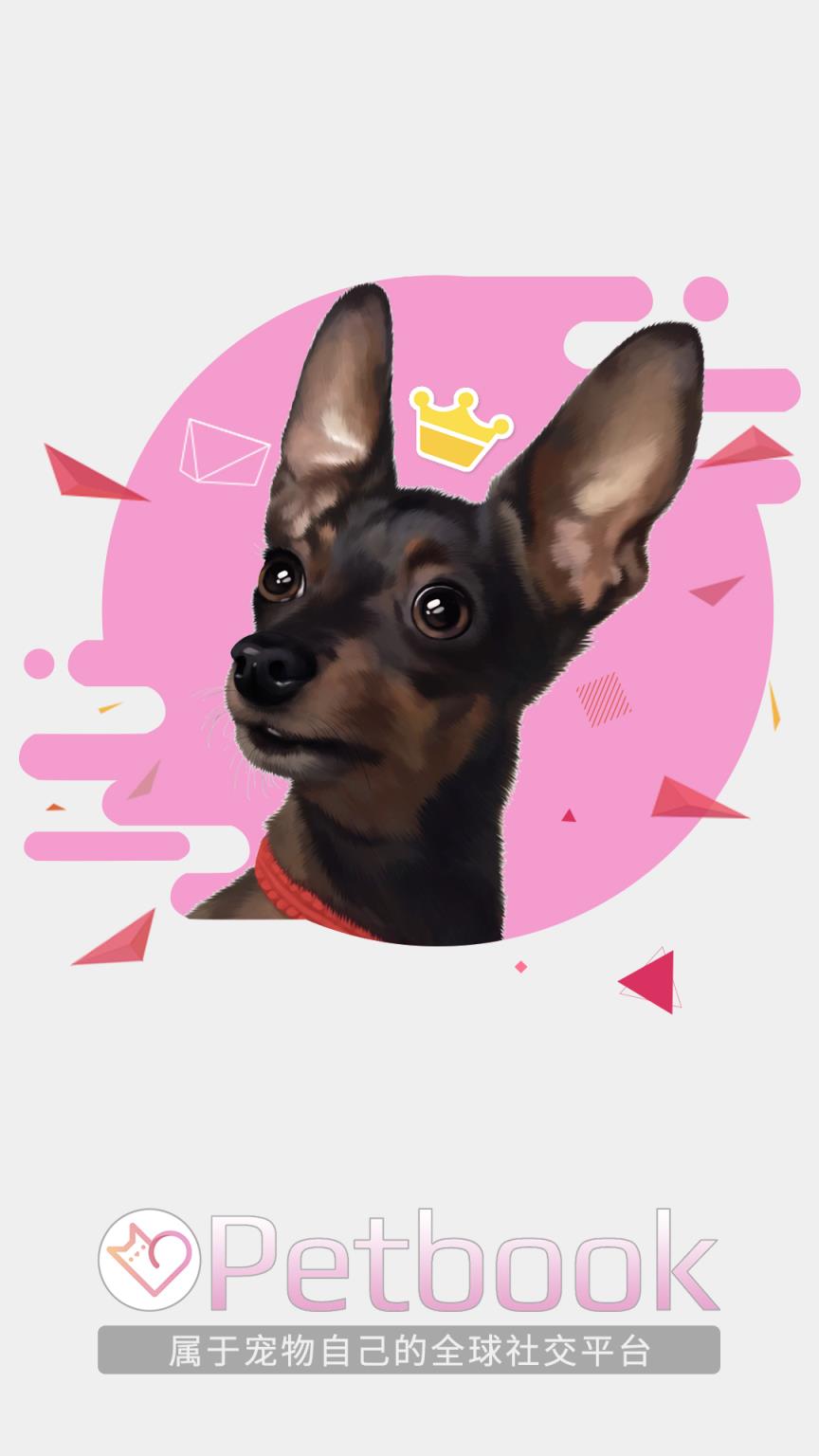我的宠物社区