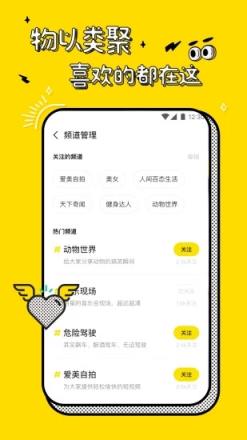 板凳视频
