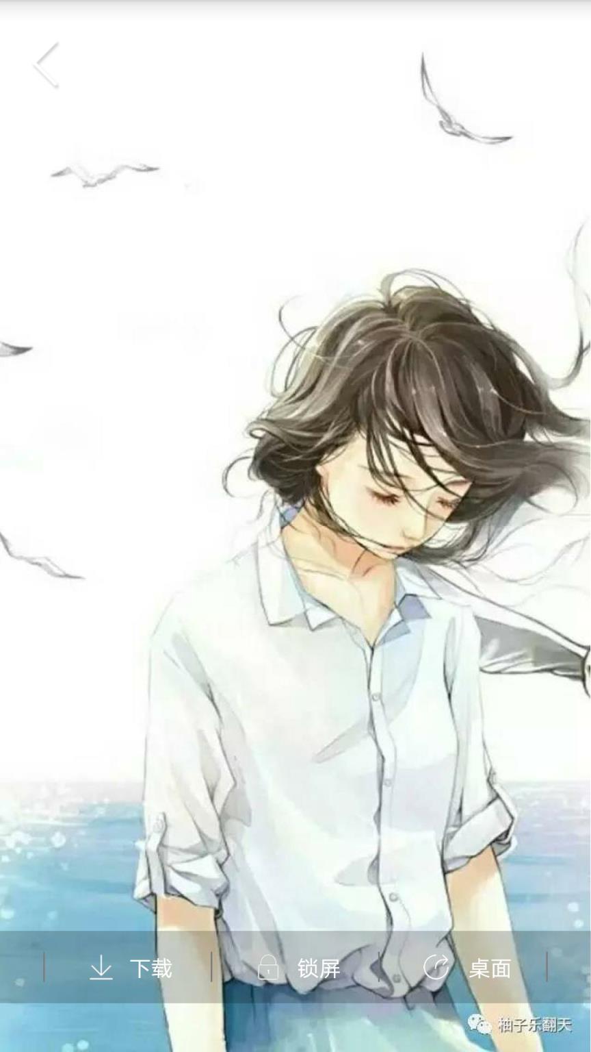 番茄主题壁纸app
