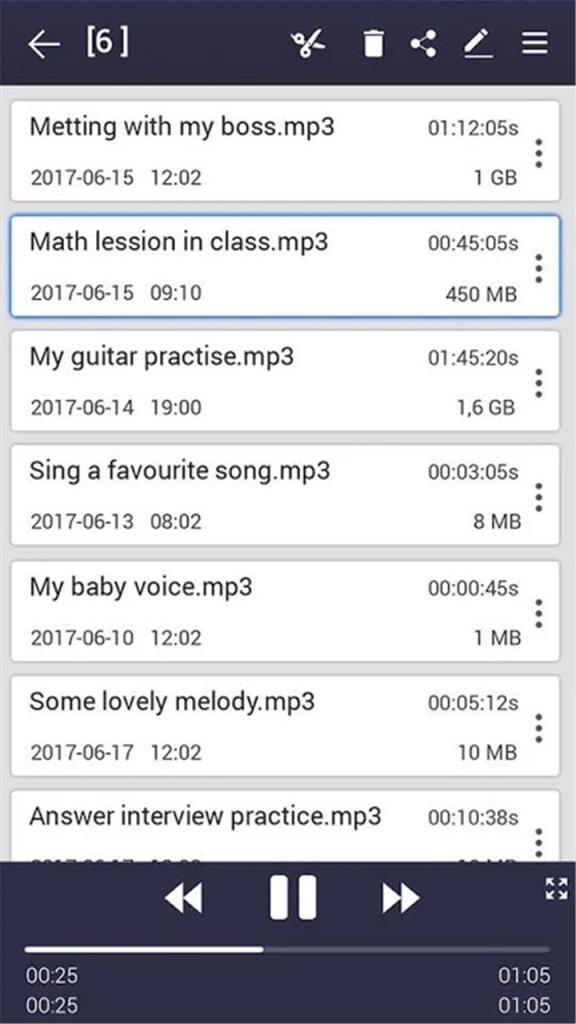 手机录音机专业版