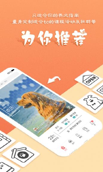 Dogwhere狗狗去哪儿