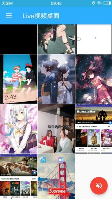 Live视频桌面app