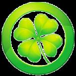 王者重复名安装