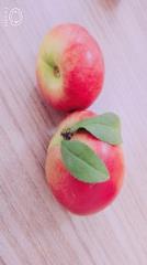 滤镜贴纸网红相机