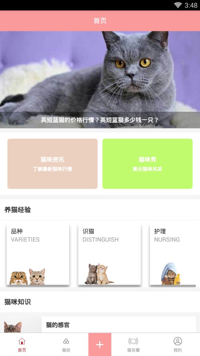 爱猫咪
