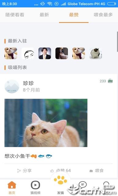 猫咪俱乐部