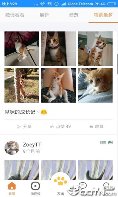 猫咪俱乐部