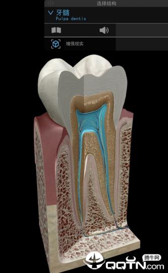 2021人体解剖学图