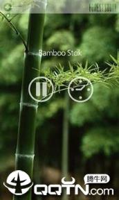 森林之声FOREST SOUND