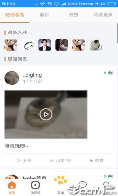 猫咪俱乐部