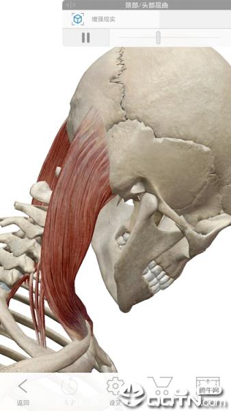 2021人体解剖学图