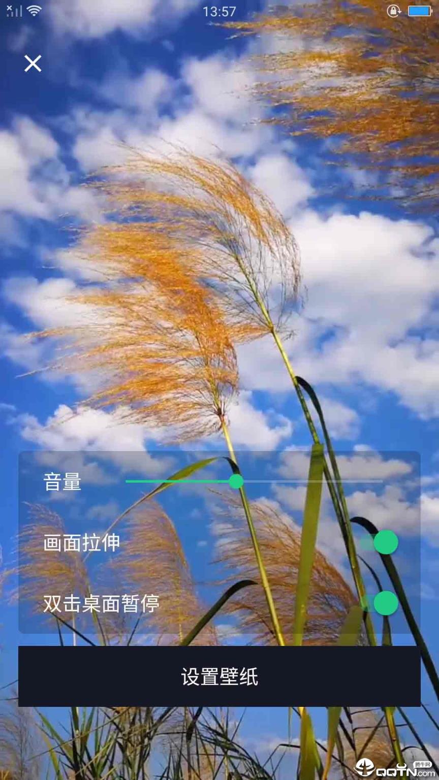 骑士视频桌面app