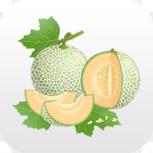 哈密瓜app