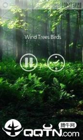 森林之声FOREST SOUND