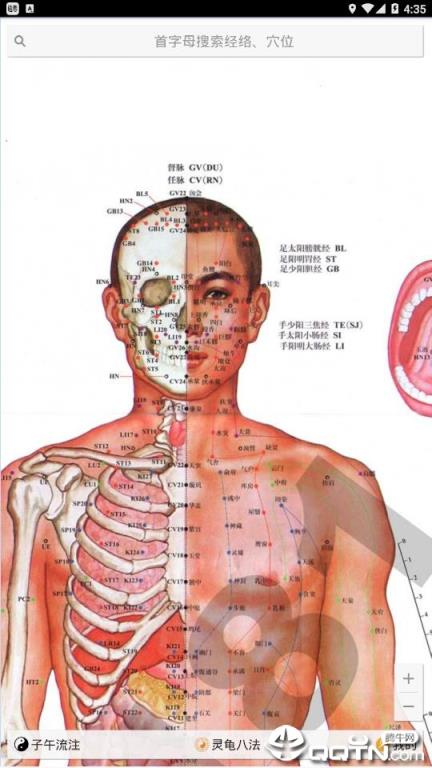 中医经络铜人app
