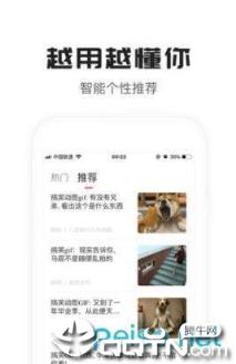 老哥看看