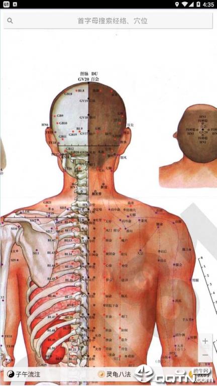 中医经络铜人app