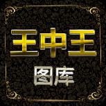 王中王图库