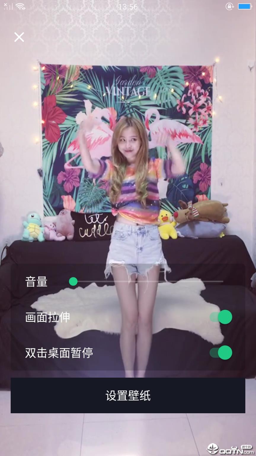 骑士视频桌面app