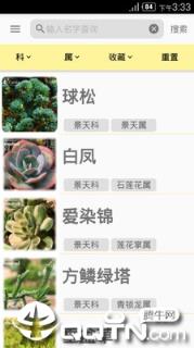 多肉图鉴