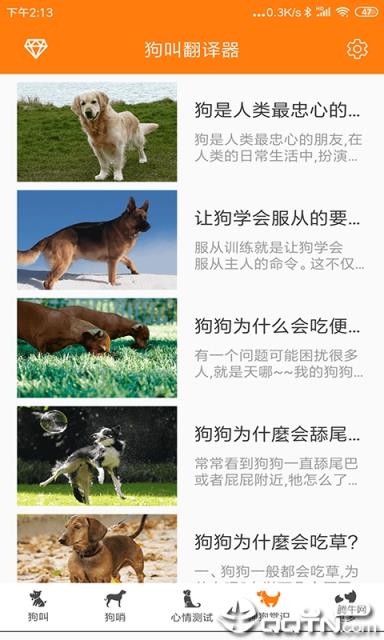 狗叫翻译器