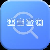 违章查询宝app