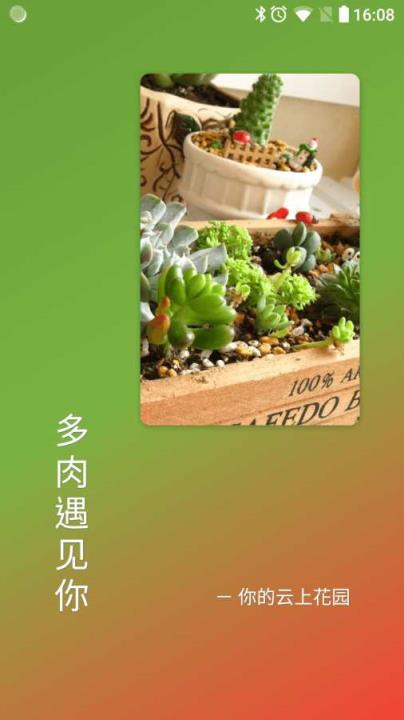多肉遇见你