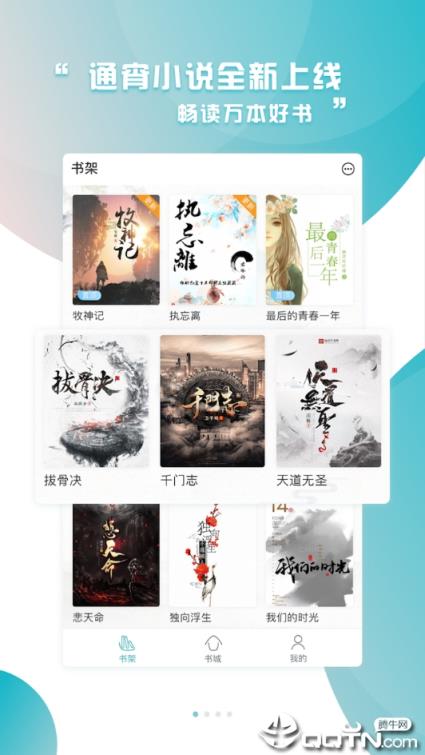 通宵小说阅读器