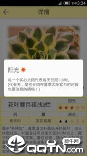 多肉图鉴