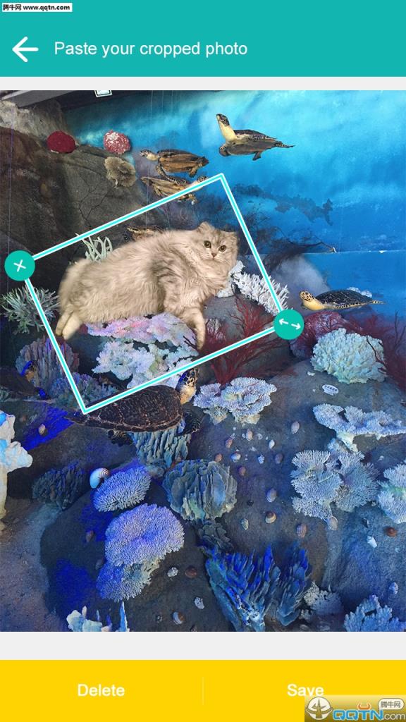 飞力猫抠图神器