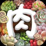 多肉植物APP
