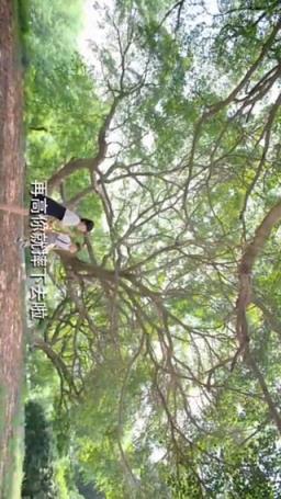 柠萌影音vip破解版