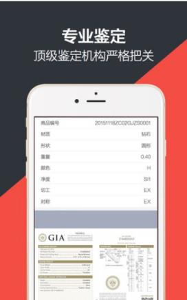 必得拍(网络竞拍)